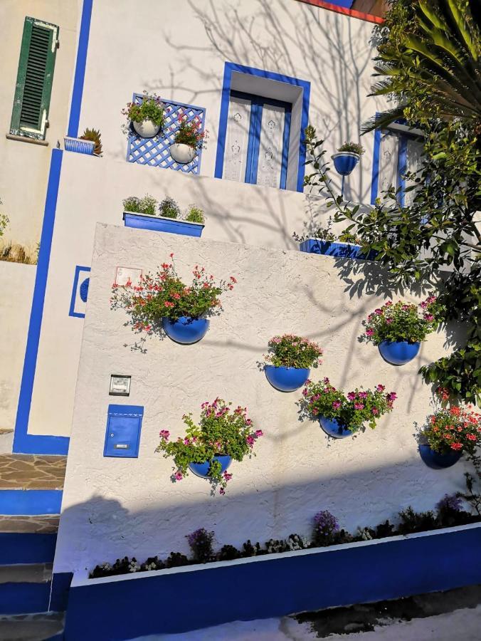 فيلا La Porta Blu تويلادا المظهر الخارجي الصورة